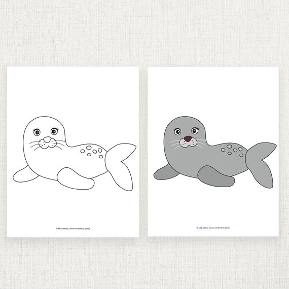 Seals Activity And Coloring Pages