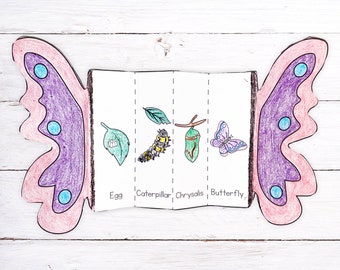 Foldable Butterfly Life Cycle Printable