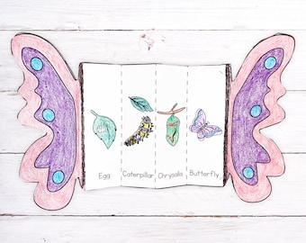 Foldable Butterfly Life Cycle Printable