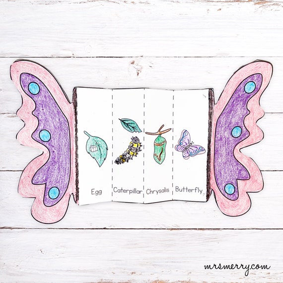 Foldable Butterfly Life Cycle Printable