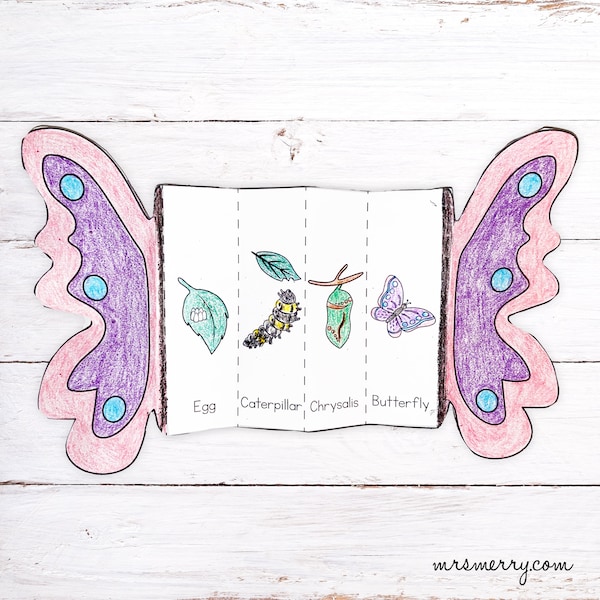 Foldable Butterfly Life Cycle Printable