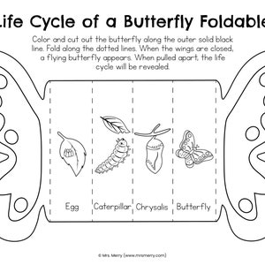 May include: Black and white printable foldable butterfly life cycle diagram. The diagram shows an egg, caterpillar, chrysalis, and butterfly. The text "Life Cycle of a Butterfly Foldable" is at the top of the page.