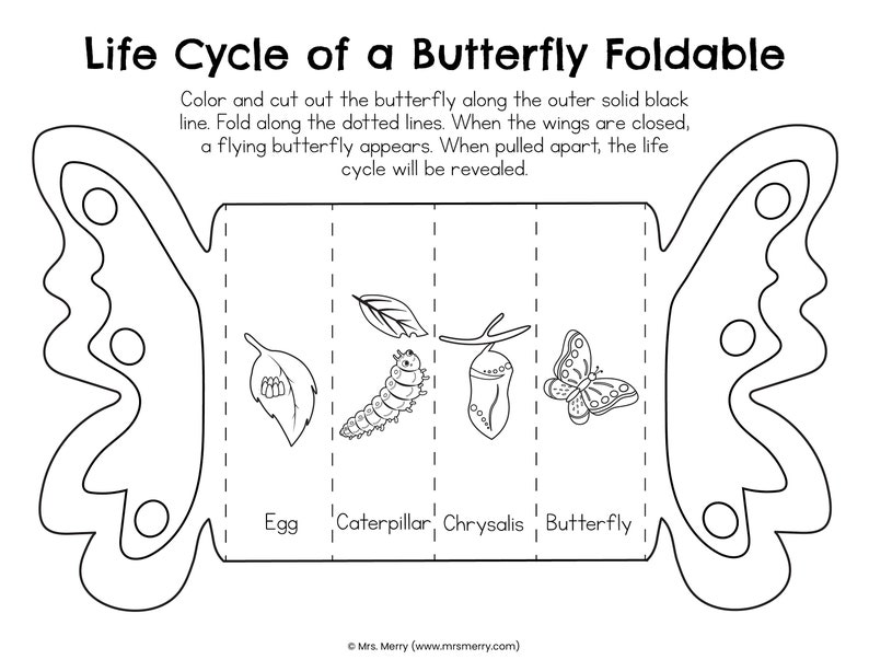 May include: Black and white printable foldable butterfly life cycle diagram. The diagram shows an egg, caterpillar, chrysalis, and butterfly. The text "Life Cycle of a Butterfly Foldable" is at the top of the page.