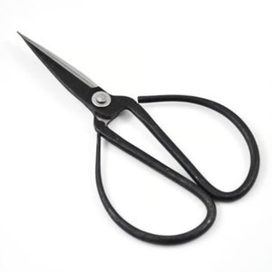 May include: Black metal bonsai shears with a silver rivet. The shears have a curved handle and sharp blades.