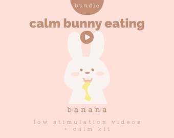 Calm Bunny Banana Video Bundle | Low Stimulation Baby Routine (MP4, MP3, Printables)