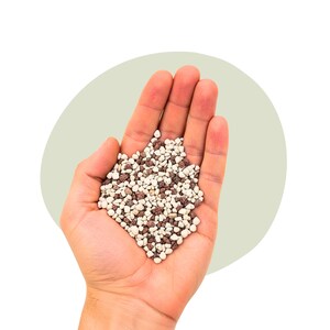 Pode incluir: Uma mão segurando um punhado de pequenas pedras irregulares. As pedras são marrons e brancas. O fundo é verde claro. A imagem é bem iluminada e as pedras estão em foco.