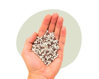 Substrato minerale di lava: la base stabile per piante sane