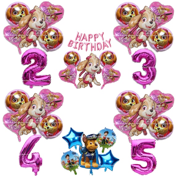 Skye Paw Patrol Palloncini di compleanno Decorazioni per feste Forniture  Palloncini per feste in lamina di elio per ragazze e ragazzi Festa Età Rosa  -  Italia