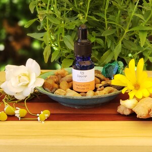 Puede incluir: Una botella de vidrio azul con un gotero que contiene aceite de masaje "Tincture". La botella está sentada en un pequeño plato azul con piedras y un cristal verde. El plato está sobre una superficie de madera con una flor amarilla y un trozo de jengibre.