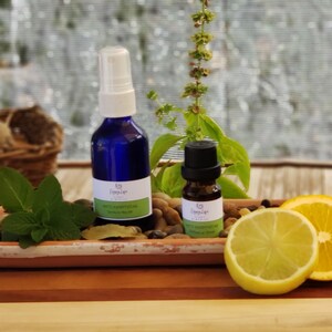 Puede incluir: Dos botellas de aceite esencial, una azul y otra marrón, con un pulverizador y un gotero. Las botellas están sobre una bandeja de terracota con hojas verdes, rodajas de limón y naranja, y pequeñas piedras.