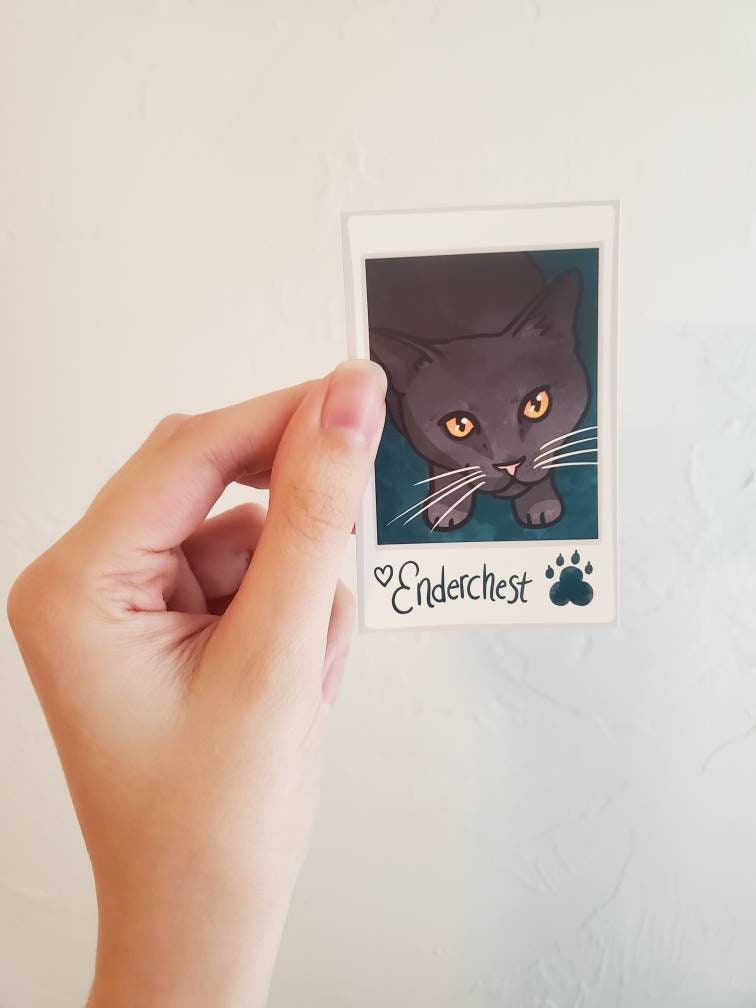 DSMP Ranboo's Memory Book Zine Ranboo Micheal Tubbo Etsy