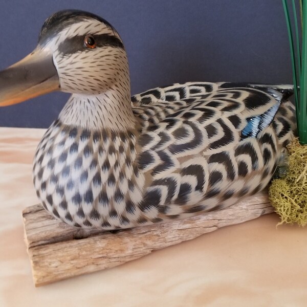 Duck Decoys Eyes Etsy