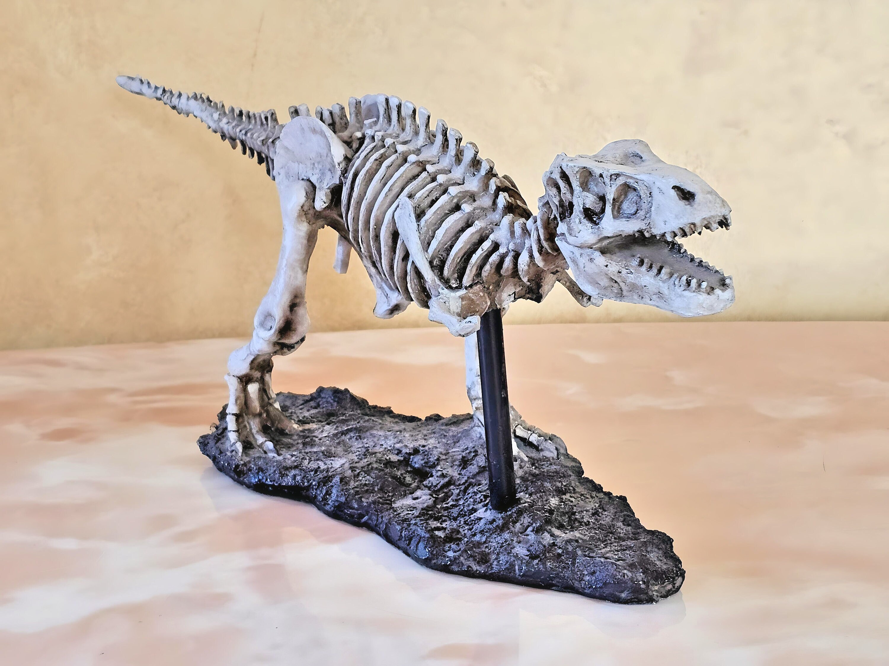 Amazon.com: WLNTDOLA Tyrannosaurus Trix Skull Model Resin
