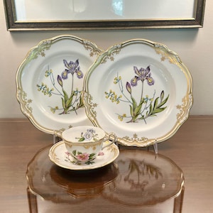 Spode Stafford Flowers - Etsy