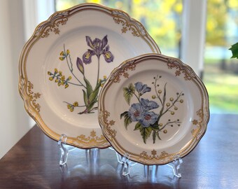Stafford Flowers by Spode: Vintage English Bone China Plates