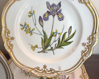 Stafford Flowers by Spode: Vintage English Bone China Plates