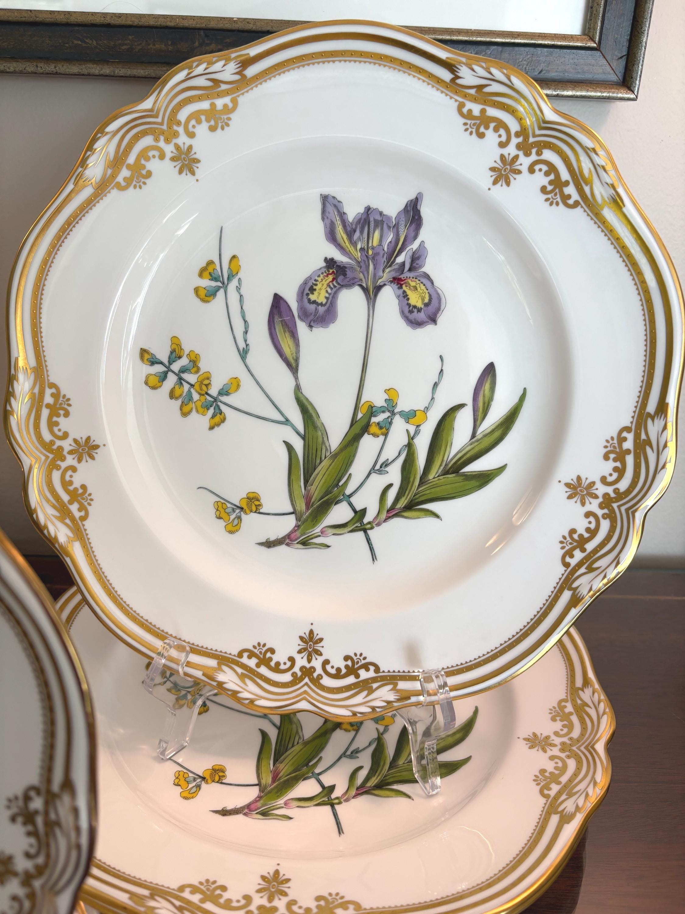 Stafford Flowers by Spode: Vintage English Bone China Plates