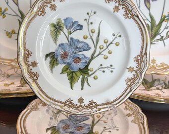 Stafford Flowers by Spode: Vintage English Bone China Plates