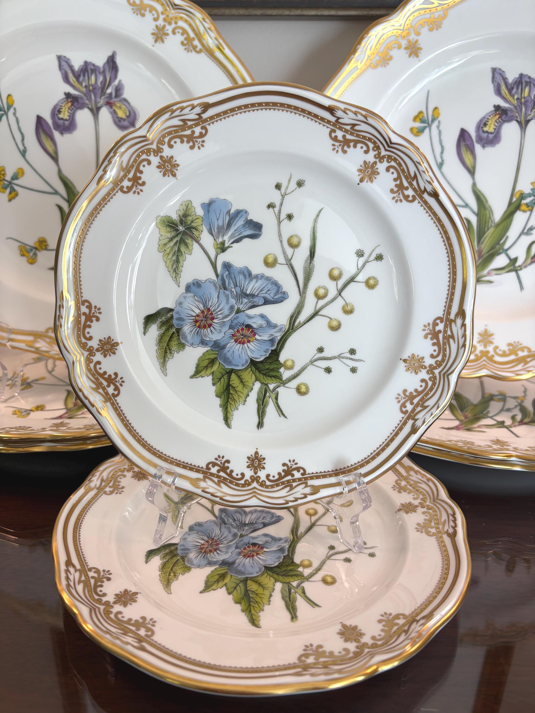 Stafford Flowers by Spode: Vintage English Bone China Plates