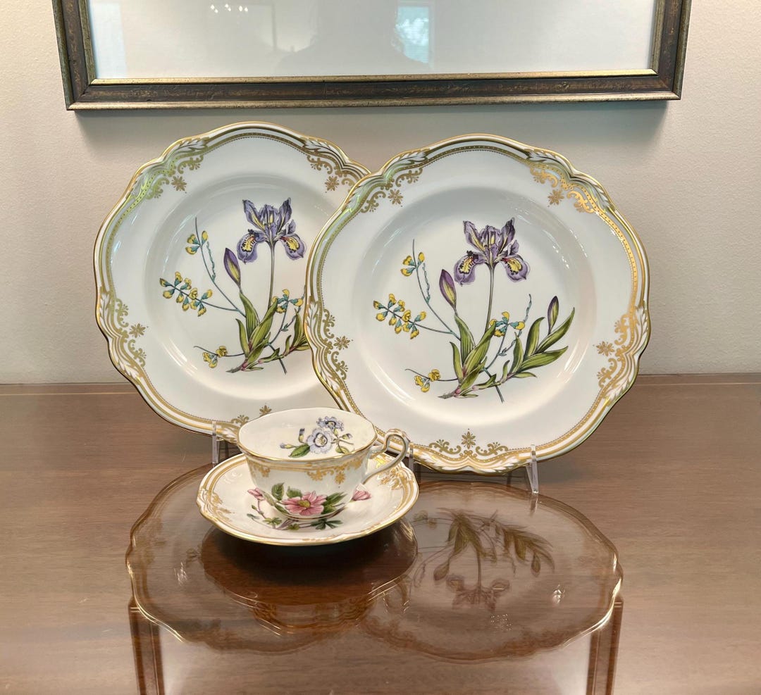 Stafford Flowers by Spode: Vintage English Bone China Plates - Etsy
