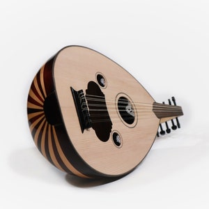 Fretless lute cheap