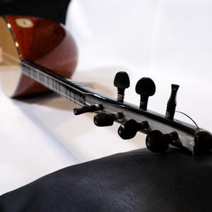 Collezione Erasaz – Saz manico corto in palissandro personalizzato 2011