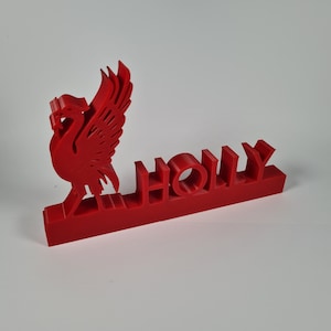 Liverpool FC Personalised Liverbird Plaque, Shelf Display Custom. Football gift. Select Name