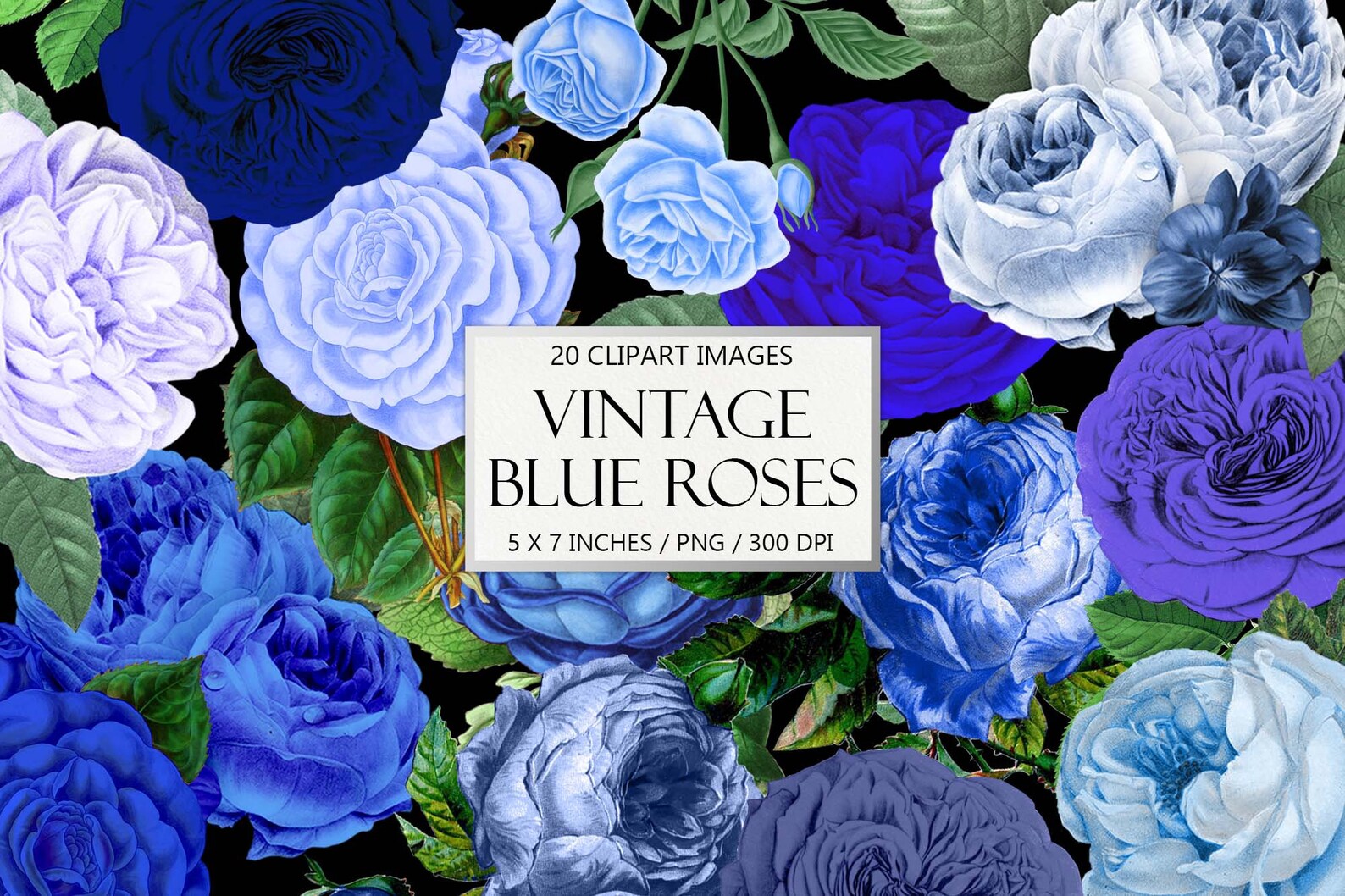 Vintage Blue Roses Blue Flower Vintage Clipart Antique - Etsy