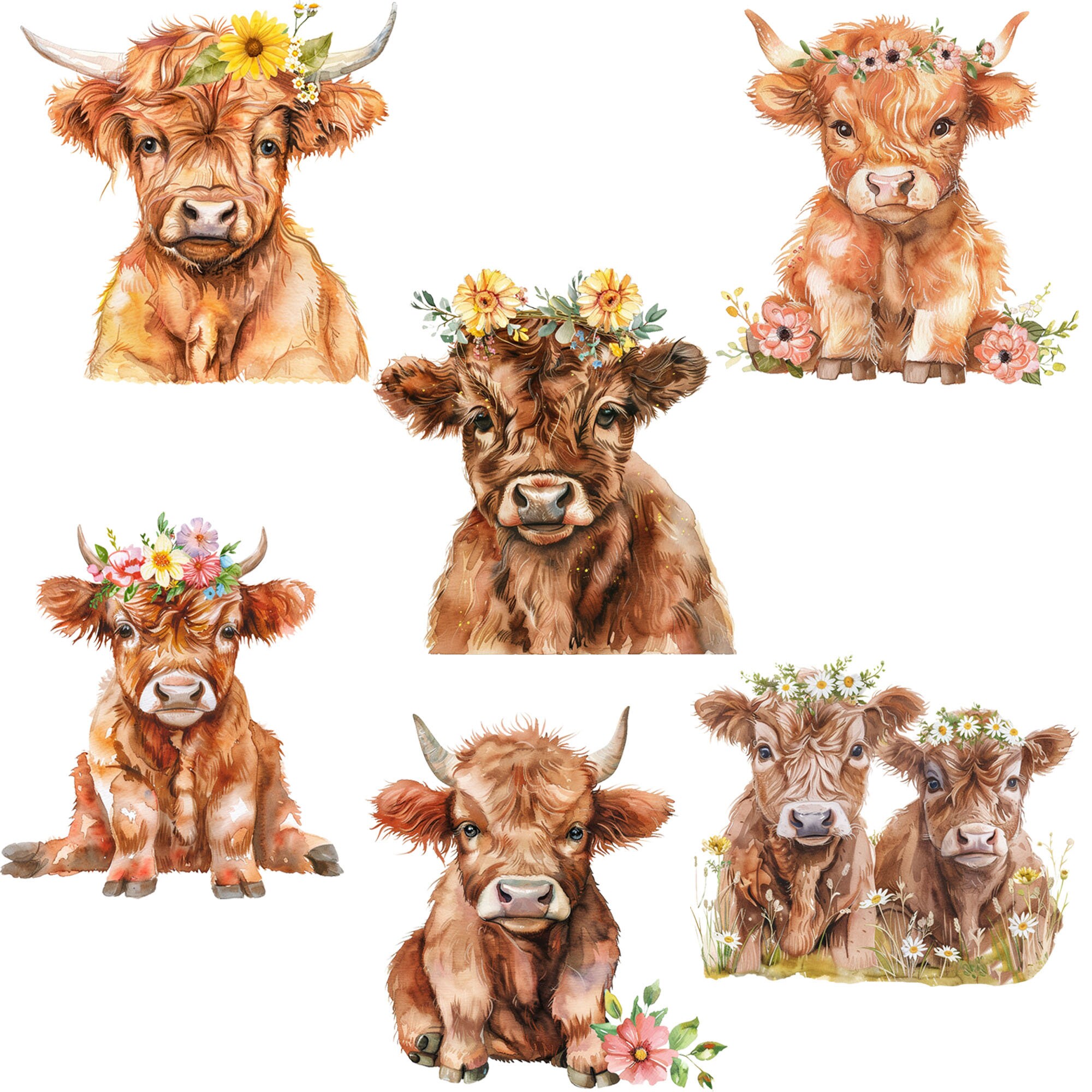 Watercolor Highland Cow Clipart: Floral Summer Images (PNG Digital ...