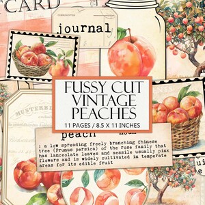 Printable Vintage Peaches Ephemera Kit, Antique Summer Fruit, Fussy Cut, Junk Journal Supplies, Collage, Nature Peach Kit, Commercial Use