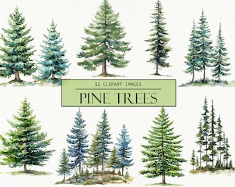Puede incluir: Doce ilustraciones de acuarela de pinos de varios tamaños y formas. Los árboles están pintados en tonos de verde y azul, algunos tienen un aspecto más realista y otros son más estilizados.