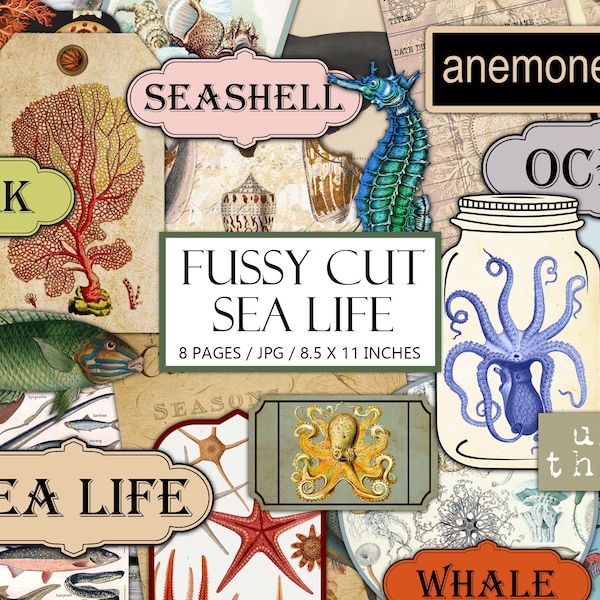 Printable Sea Life Ephemera Kit, Vintage Ocean, Fussy Cut, Junk Journal Supplies, Under Water, Collage, Scrapbook, Antique, Commercial Use