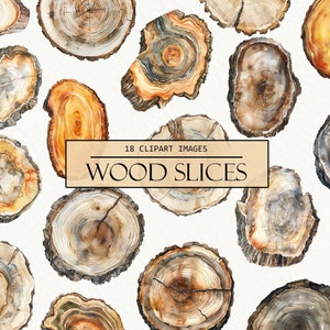 Watercolor Wood Slices Clipart, Wooden Slice Images, Rustic Tree Frame, Wedding Illustration, Clip Art Sublimation, Scrapbook, Junk Journal