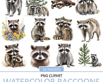 Mapache en acuarela: Imágenes PNG de animales del bosque (descarga digital)