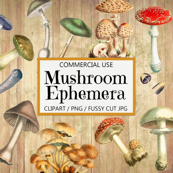 Vintage Mushroom Clipart, Junk Journal Ephemera, Old Mushrooms, Fussy Cut, Scrapbook Embellishment, PNG Clip Art, Printable