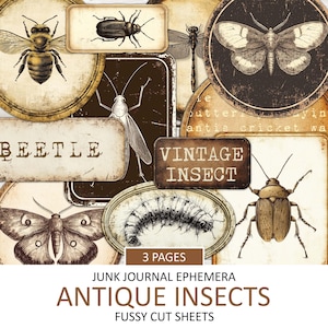 Kit éphémères d&#39;étiquettes d&#39;insectes antiques, chutes de journaux grunge imprimables, coupe difficile, scrapbooking, kit de collage d&#39;insectes vintage, téléchargement immédiat