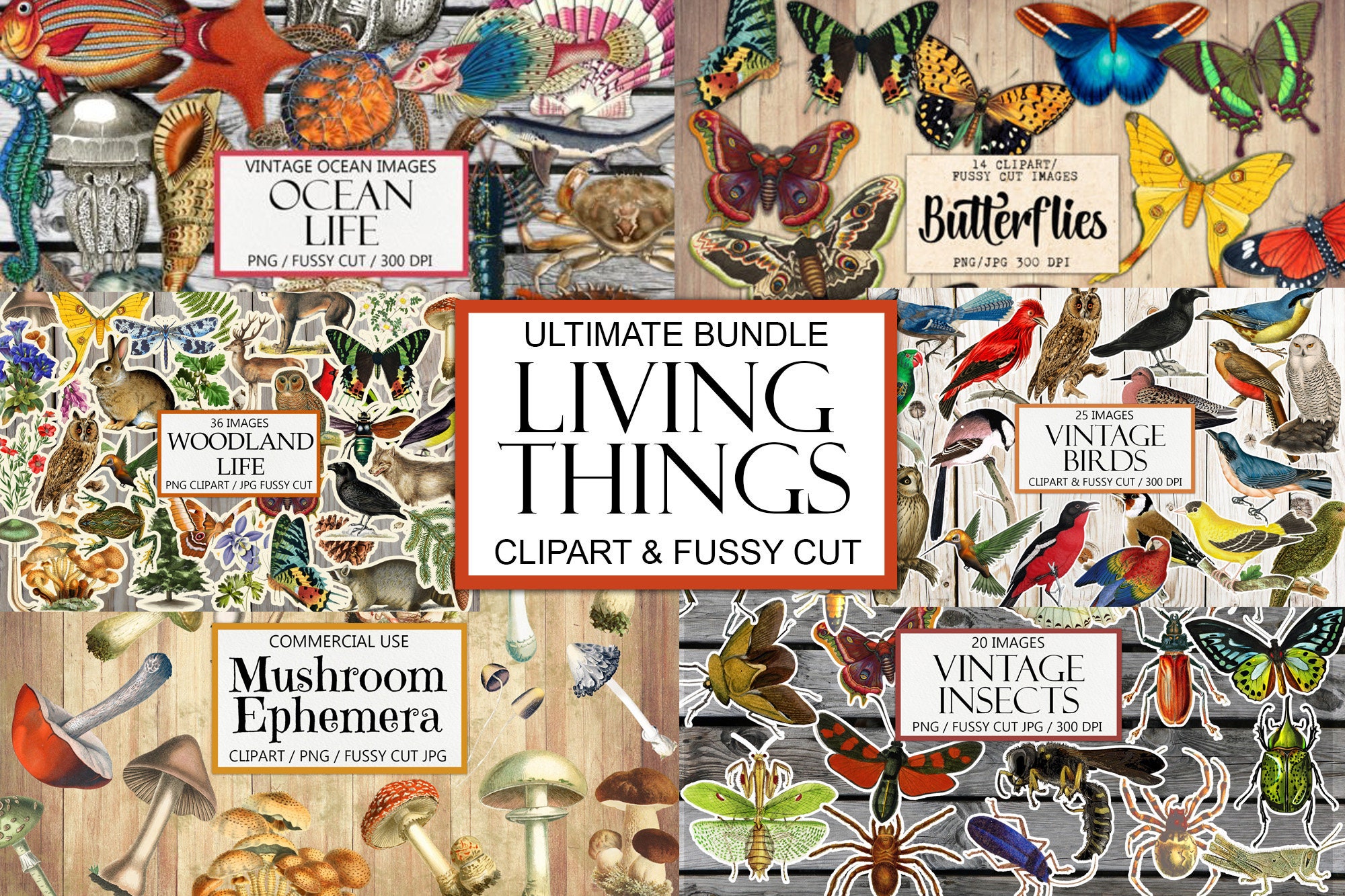 Paquete grande de seres vivos, animales y plantas, imágenes prediseñadas, corte quisquilloso, efímera de diario basura, vintage, descarga instantánea