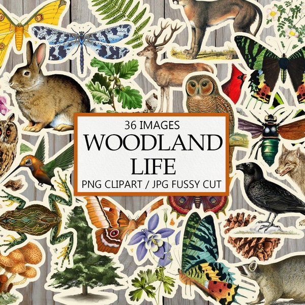 Digital Woodland Clipart, Junk Journal Embellishment, Printable Ephemera, Fussy Cut, Forest Clip Art, Animals, PNG, Flora, Fauna, Download
