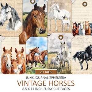 Étiquettes de chevaux vintage, documents éphémères imprimables, images équines, cartes journal, étiquettes, coupe difficile, cheval et poulain, téléchargement immédiat
