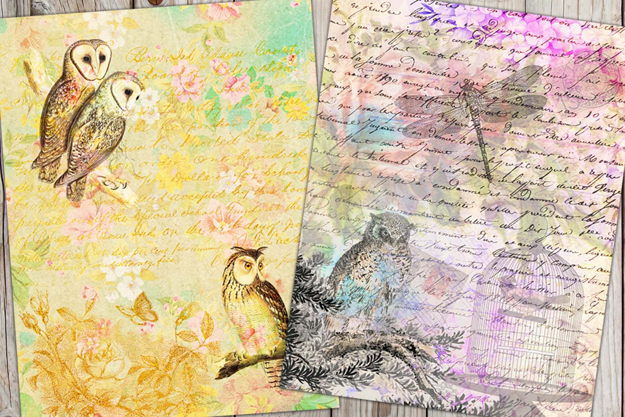 Printable Owl Collage Pages Digital Vintage Paper Ephemera Etsy