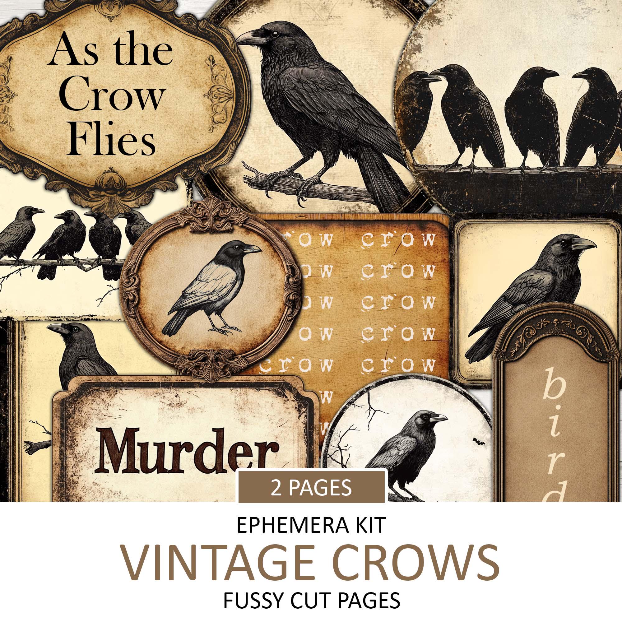小物 OLD CROW RARE VINTAGE Crows an Old Rhyme by Heidi Holder