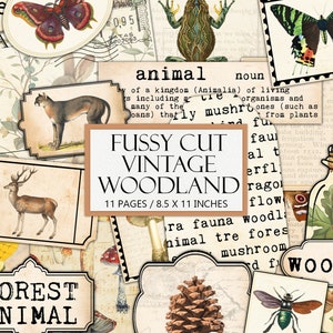 Vintage bos kortstondige kit, antiek bos esthetiek, kieskeurig knippen, junk Journal Supplies, collage, natuurbossen, dier, afdrukbare afbeelding