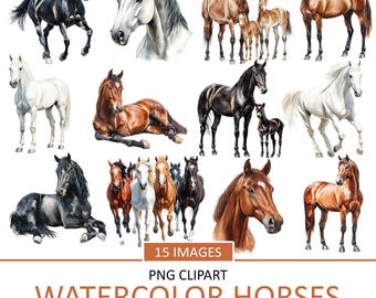 May include: A set of 15 watercolor horse illustrations with transparent backgrounds. The horses are in various poses and colors, including brown, black, white, and gray.