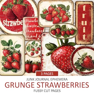 Kit de etiquetas de fresas antiguas, recortes de diario grunge imprimibles, recortes elegantes, álbum de recortes, kit de collage de verano, fruta, descarga instantánea