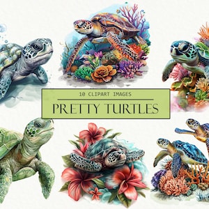 Watercolor Turtles, Turtle and Coral Sublimation, Ocean Images, Under Sea Clip Art, Commercial Use, PNG, Sea Life, Instant Download