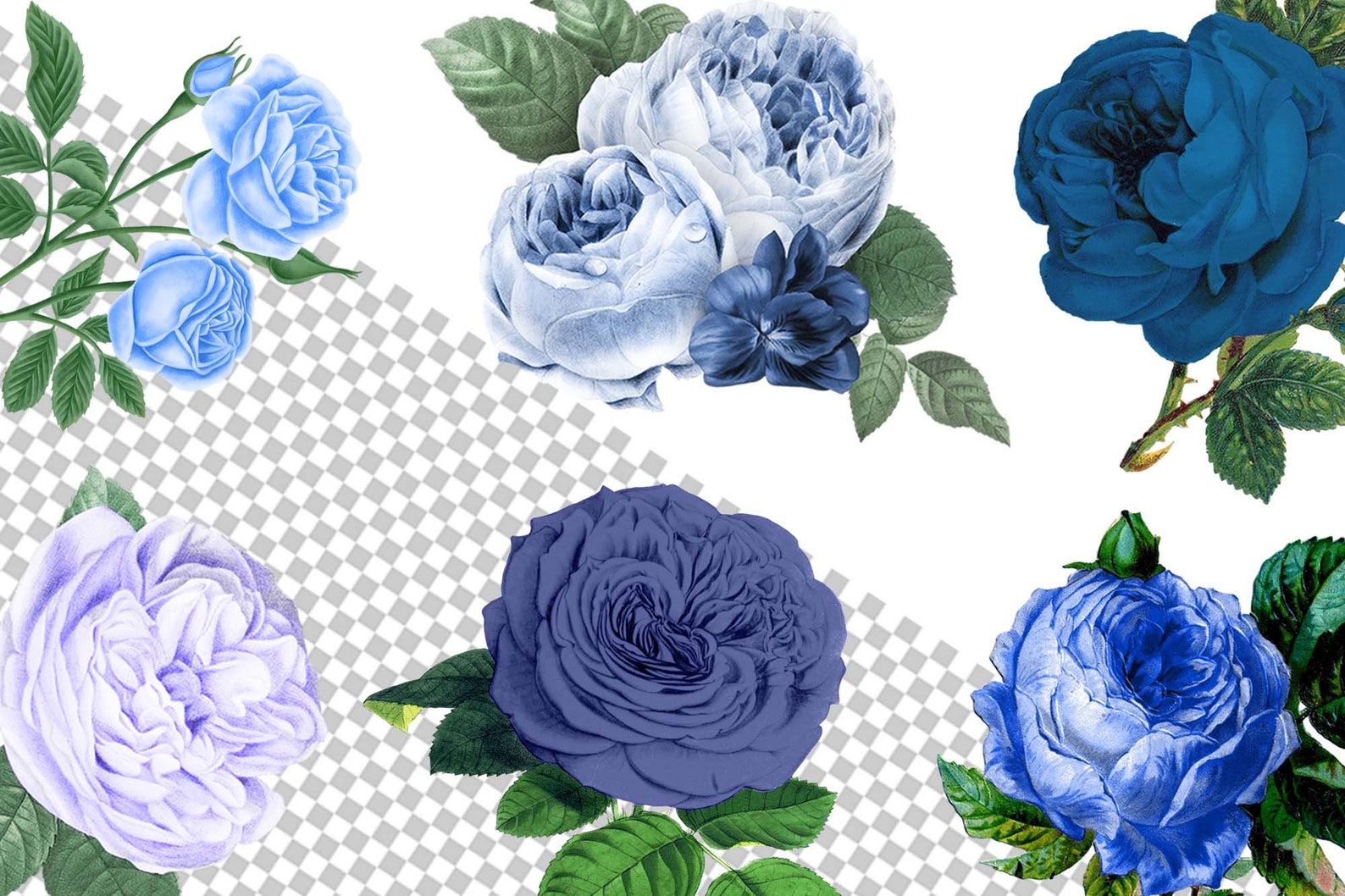 Vintage Blue Roses Blue Flower Vintage Clipart Antique - Etsy