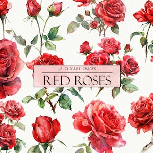 Watercolor Red Roses Clipart, Floral Images, Summer Flowers Illustration, Wedding Blooms, Clip Art Sublimation, Scrapbook, Junk Journal