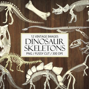 Dinosaur Bones Clipart, Archaeology, Fossils, Skeleton, Junk Journal Embellishment, PNG, Ephemera, Paleontology, Fussy Cut, Printable