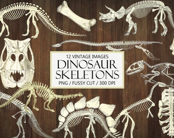 Dinosaur Bones Clipart: Vintage Fossil Ephemera (Digital Download)
