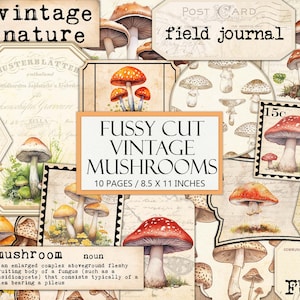 Afdrukbare vintage paddestoelen ephemera kit, antieke natuur esthetiek, kieskeurig gesneden, junk Journal Supplies, collage, schimmel, commercieel gebruik